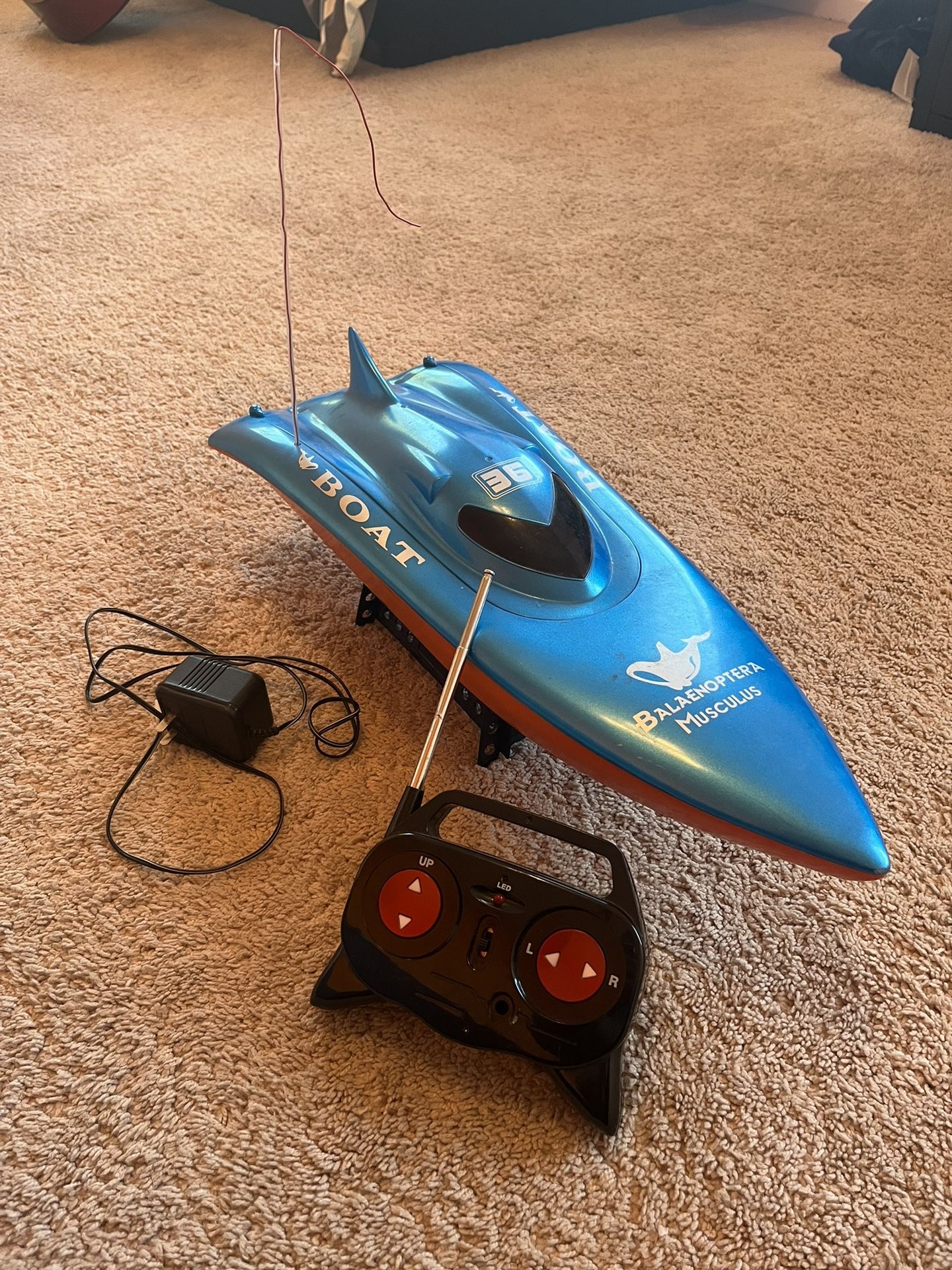 Balaenoptera Musculus racing boat Blue 23”