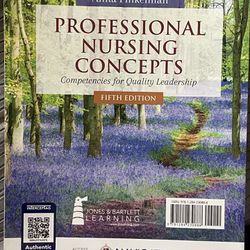 Professional Nursing Concept