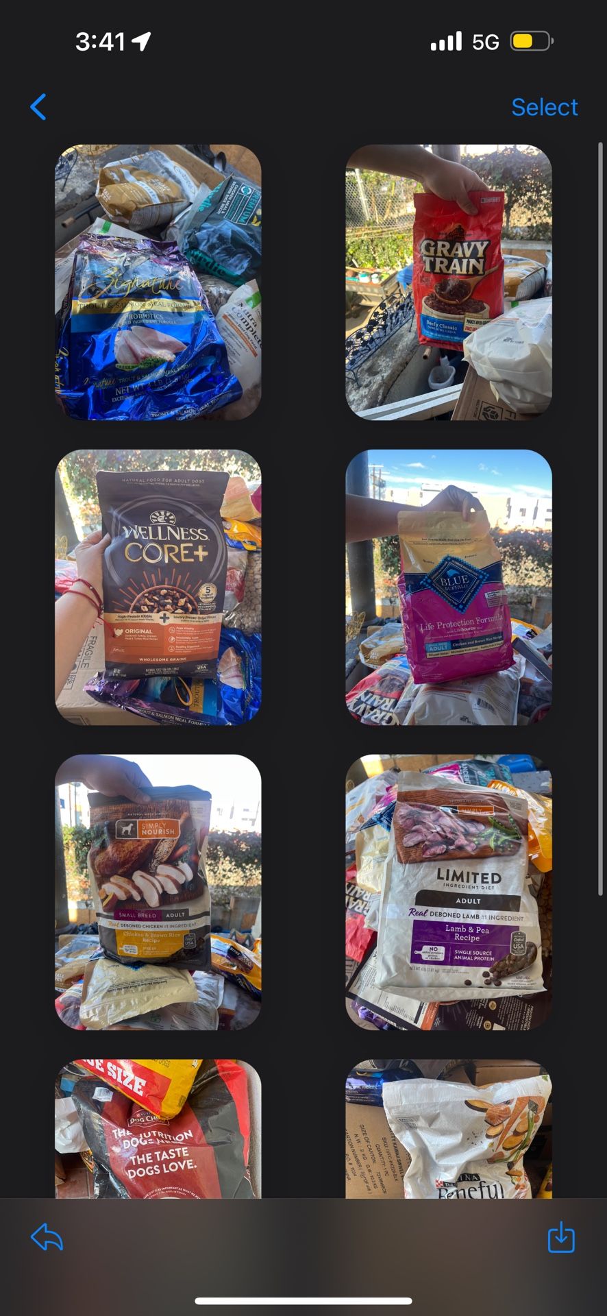 Dog Food Small Bag 