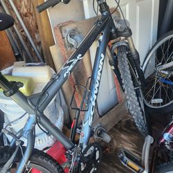Schwin Mesa Bike