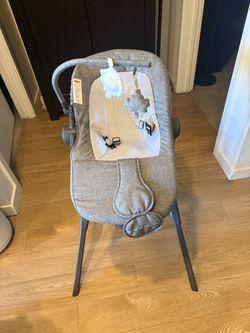 Baby Delight Infant Bouncer with Stand Adjustable
