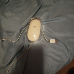Apple Mouse 