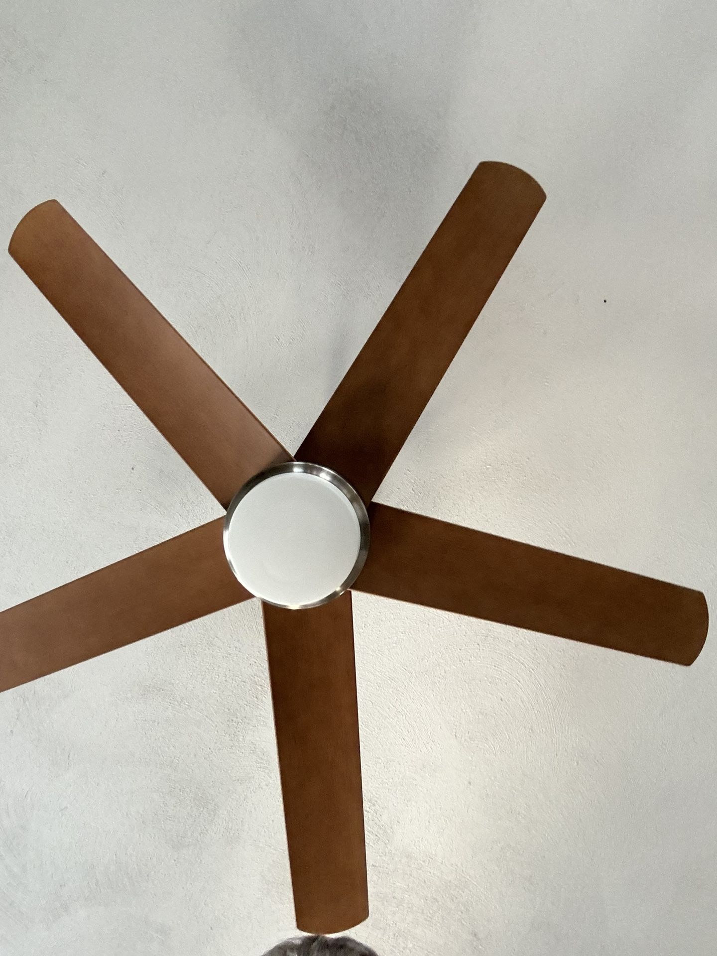 Ceiling Fans 