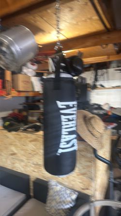 Everlast boxing bag with gloves