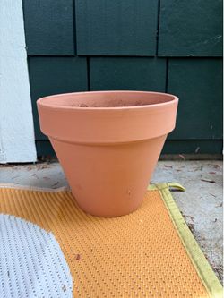 Plant Pot