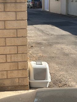 Free cat litter w/ cover
