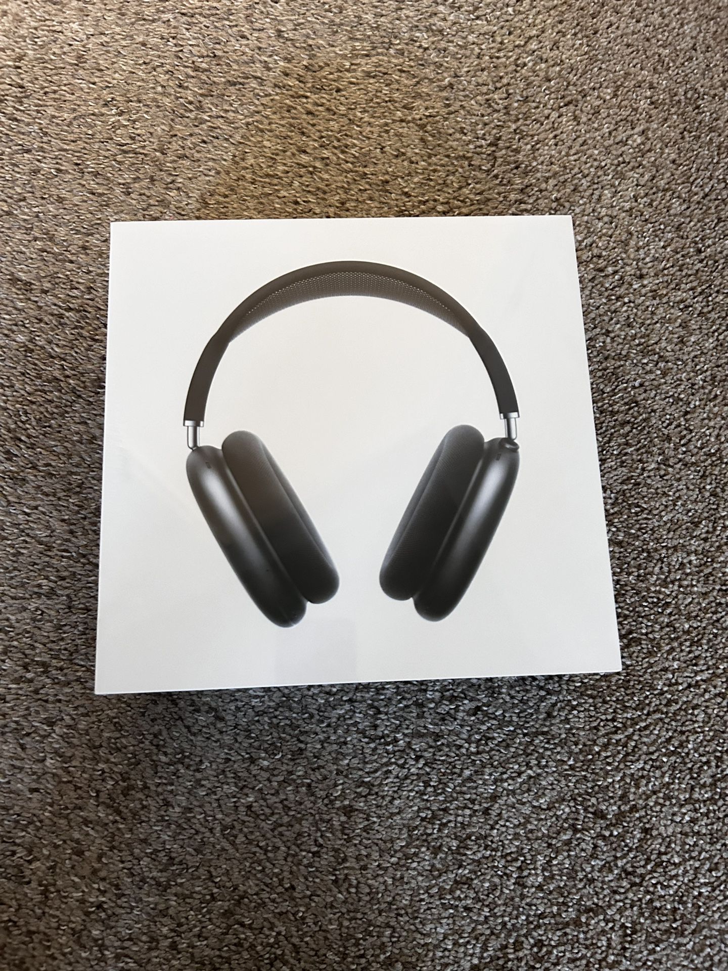 Apple Max Headphones Space Gray