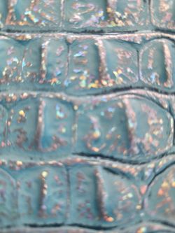 Brahmin bag.