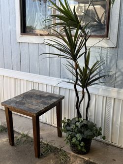 Table, Plant