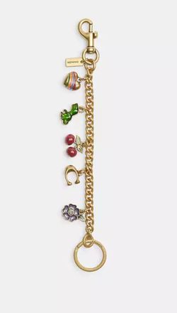 Coach bag charm multicolor accesory for bag new