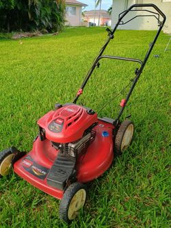 Self-Propelled Mower - 190cc Toro Recycler 22"