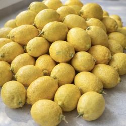 Fresh home-grown lemons (85041) — $2.99/lb (bundles ready)