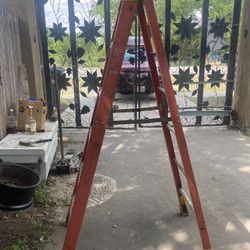 6ft Ladder 