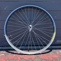 Front Rim