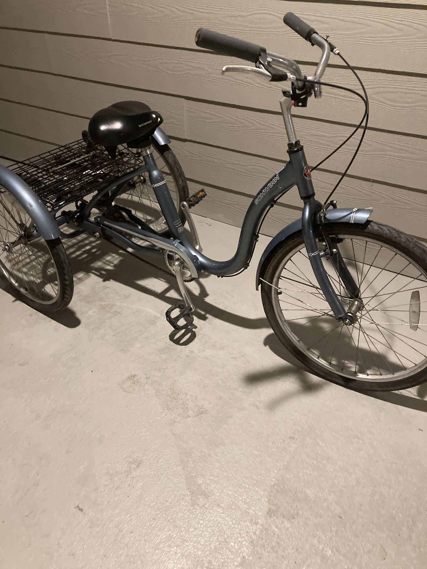 Adult Tricycle
