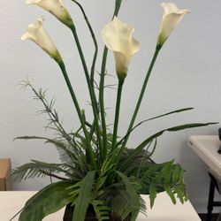 Faux Plants