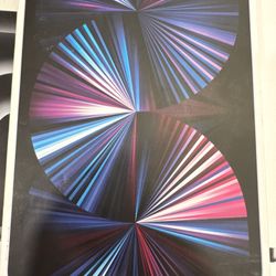 iPad Pro 11 inch (3rd Generation) Wi-Fi