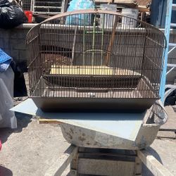 Bird Cage 