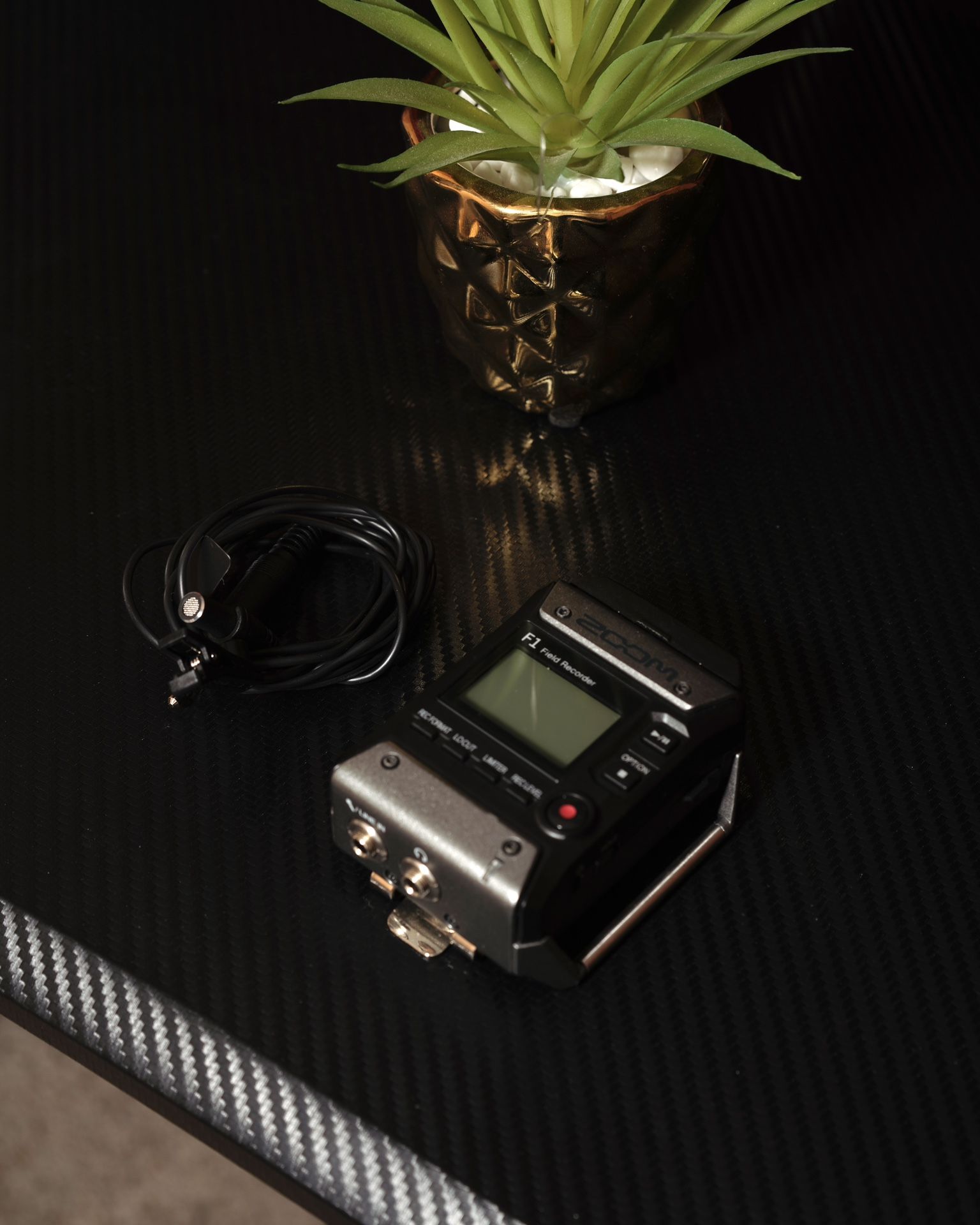 Zoom Recording