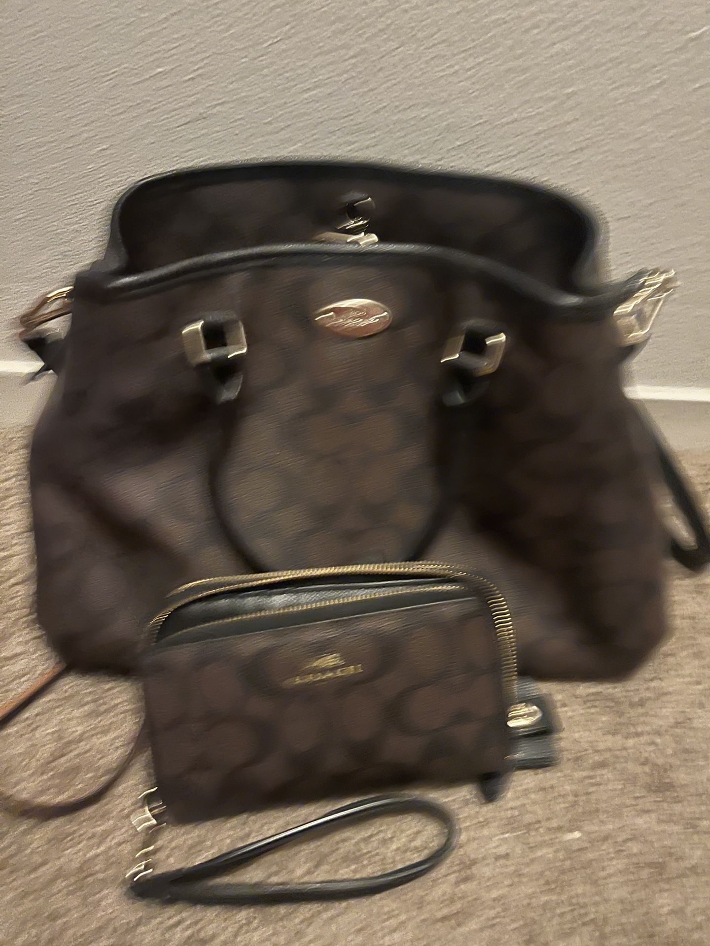 Coach Purse And Wallet