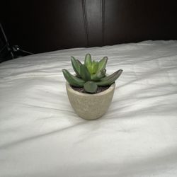 Fake Mini Home Plant 