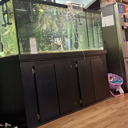 Aquarium Tank 