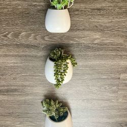 Ceramic Flower / Plant Pots. Comes With Faux Greenery