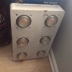 Indoor High Lux 1500w Led Grow Light cob With Hangers