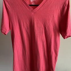 Men Arizona Jean Co. V-Neck Jersey T-Shirt