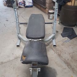 Bench Press 