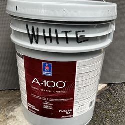 Exterior Paint. White . Flat New 5 Gallons 