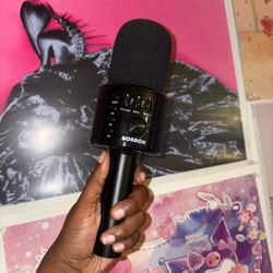 karaoke microphone