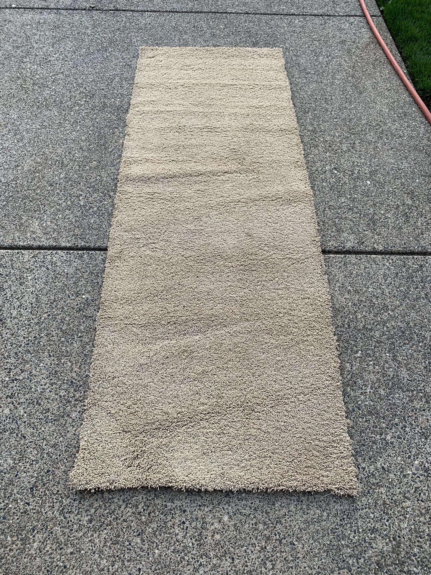 Piece of carpet