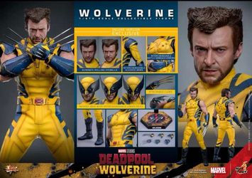 Hot Toys Wolverine  Deluxe Exclusive MMS754