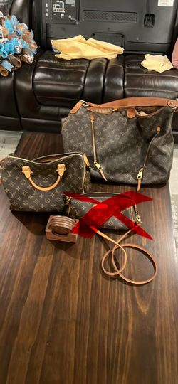 Louis Vuitton Authentic bags