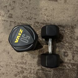 Ziva Dumbbells 