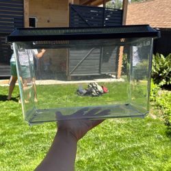 2 Medium Sized Terrarium For Little Critters 