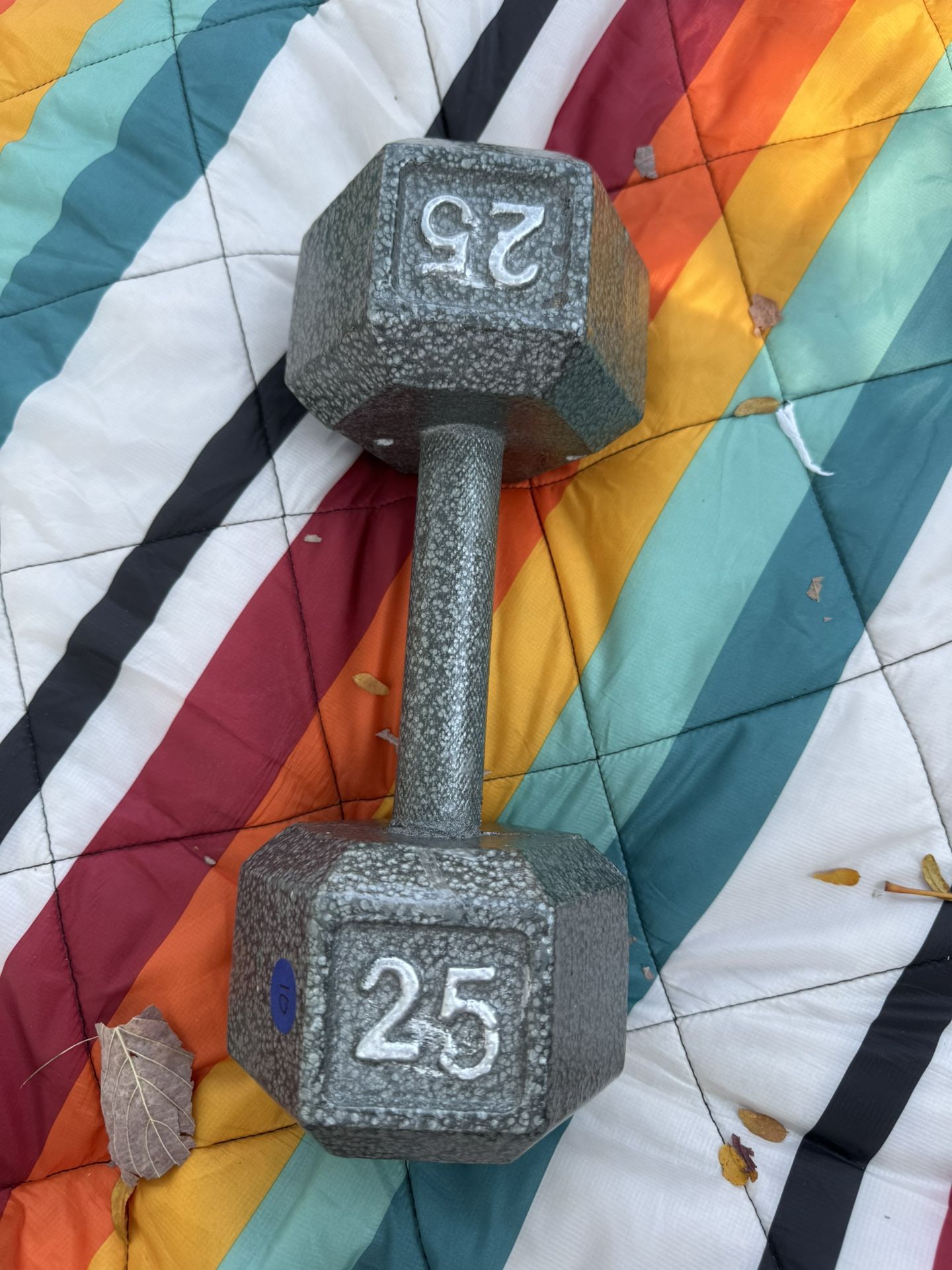 25lb Lifting Weight