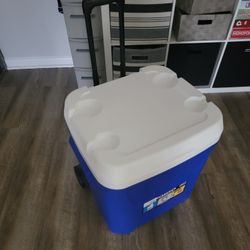 Coleman Cooler