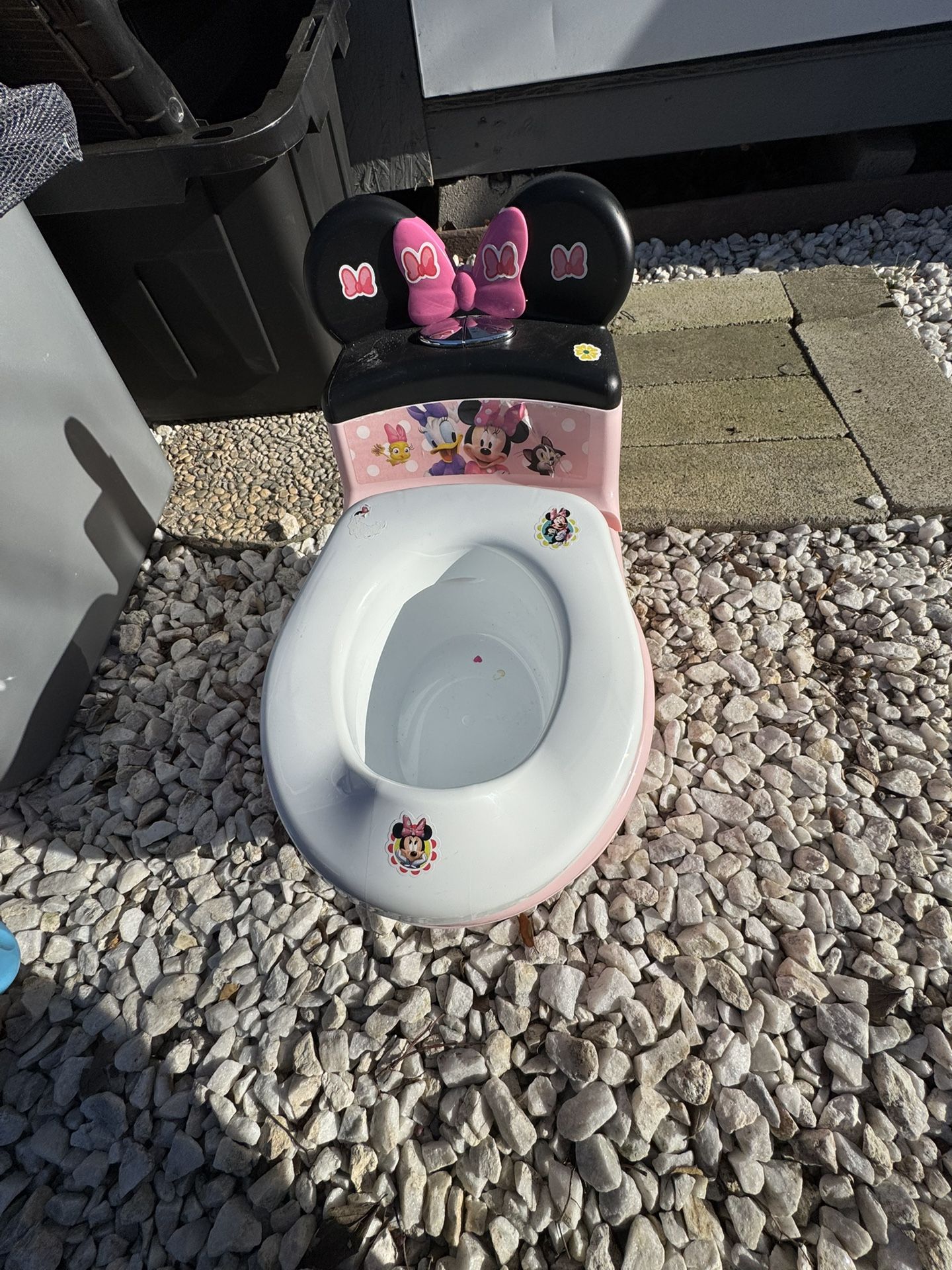 Potty Chair
