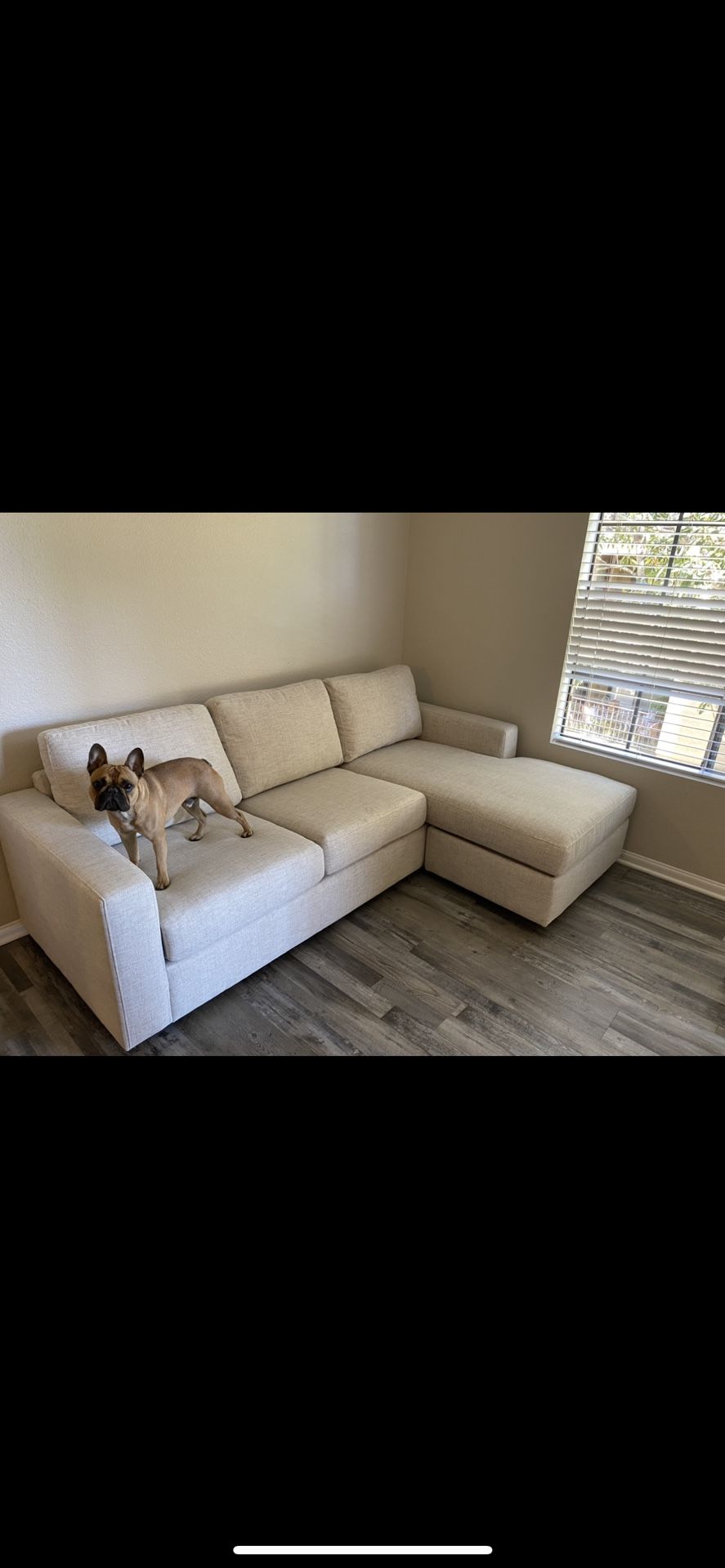 Living Spaces doheny reversible couch