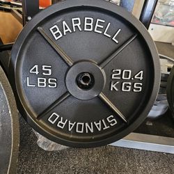 Pair Of Olympic 45lbs Plates