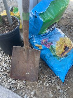 Flat shovel in great shape