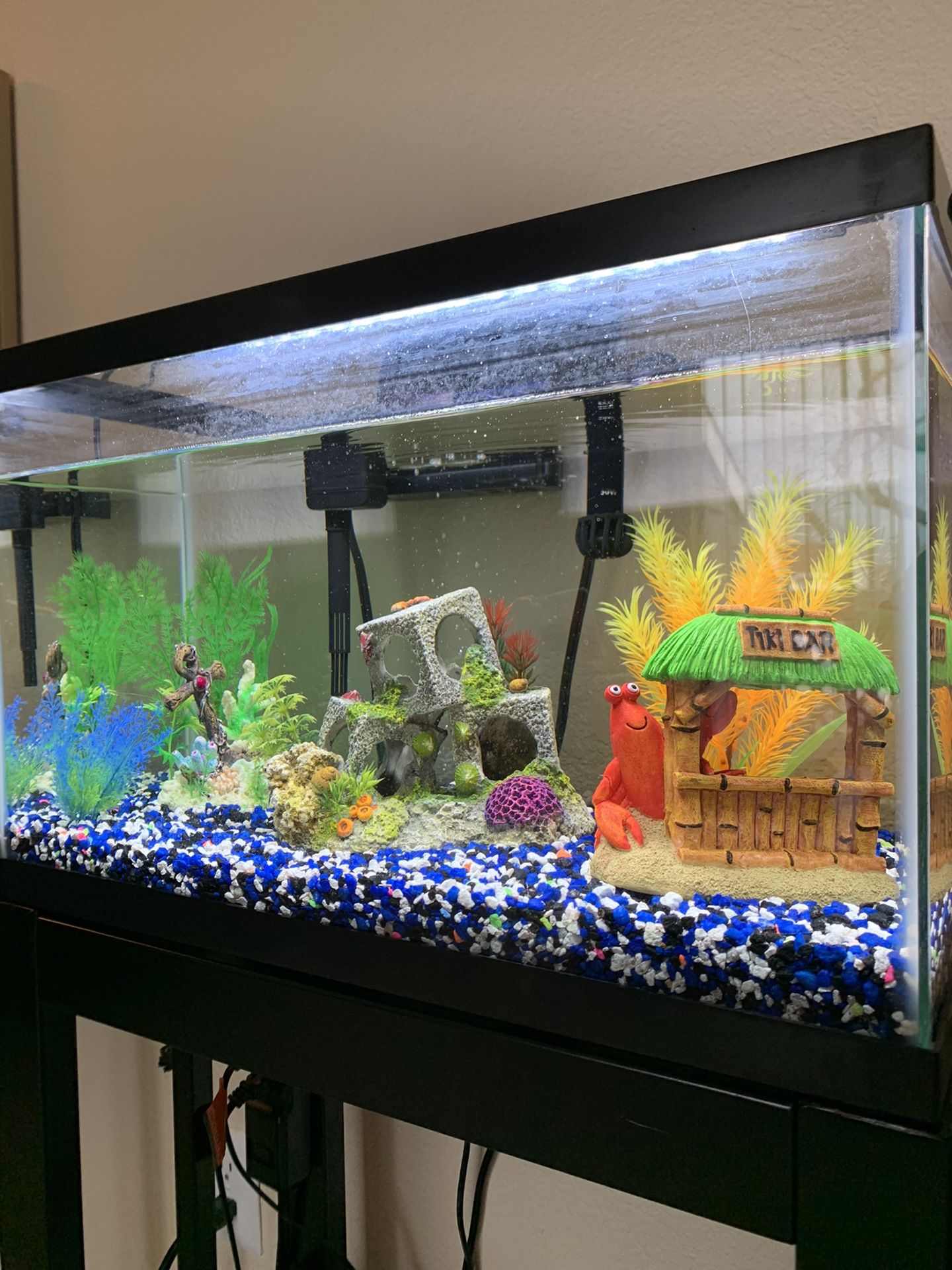 10 gallons aquarium with stand and all supplies