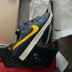 Nike Dunk Low Size 11 New