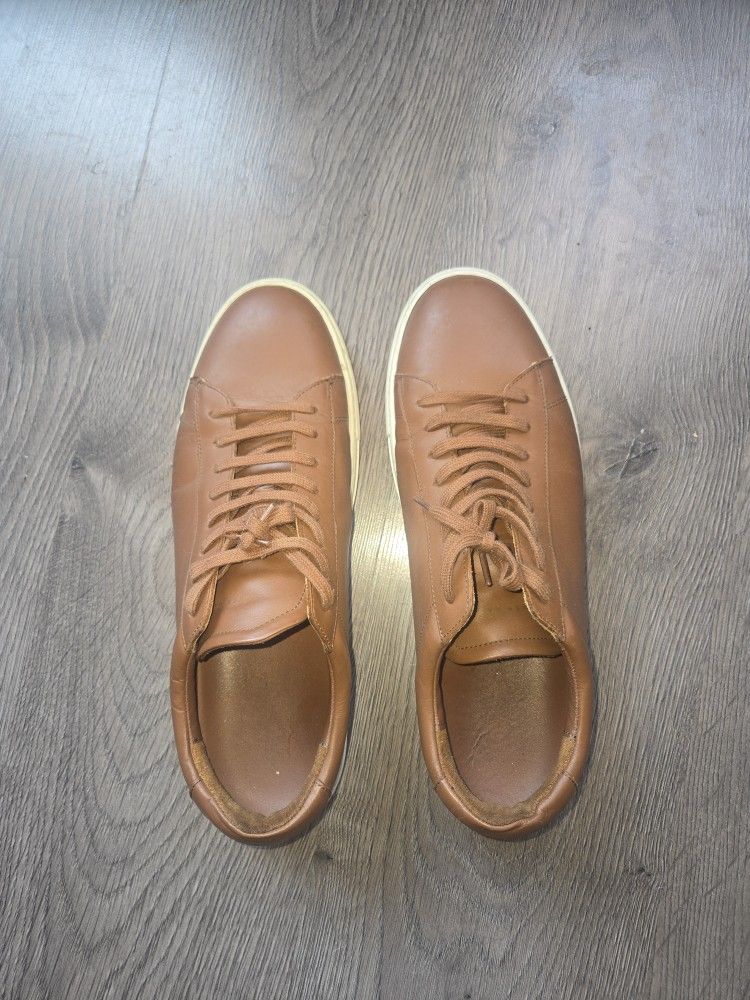 Oliver Cabell Low 1 Lion