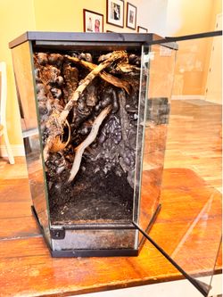 20 gallon reptile tank/ enclosure.