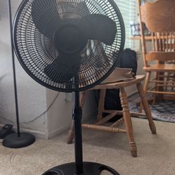 Pedestal fan
