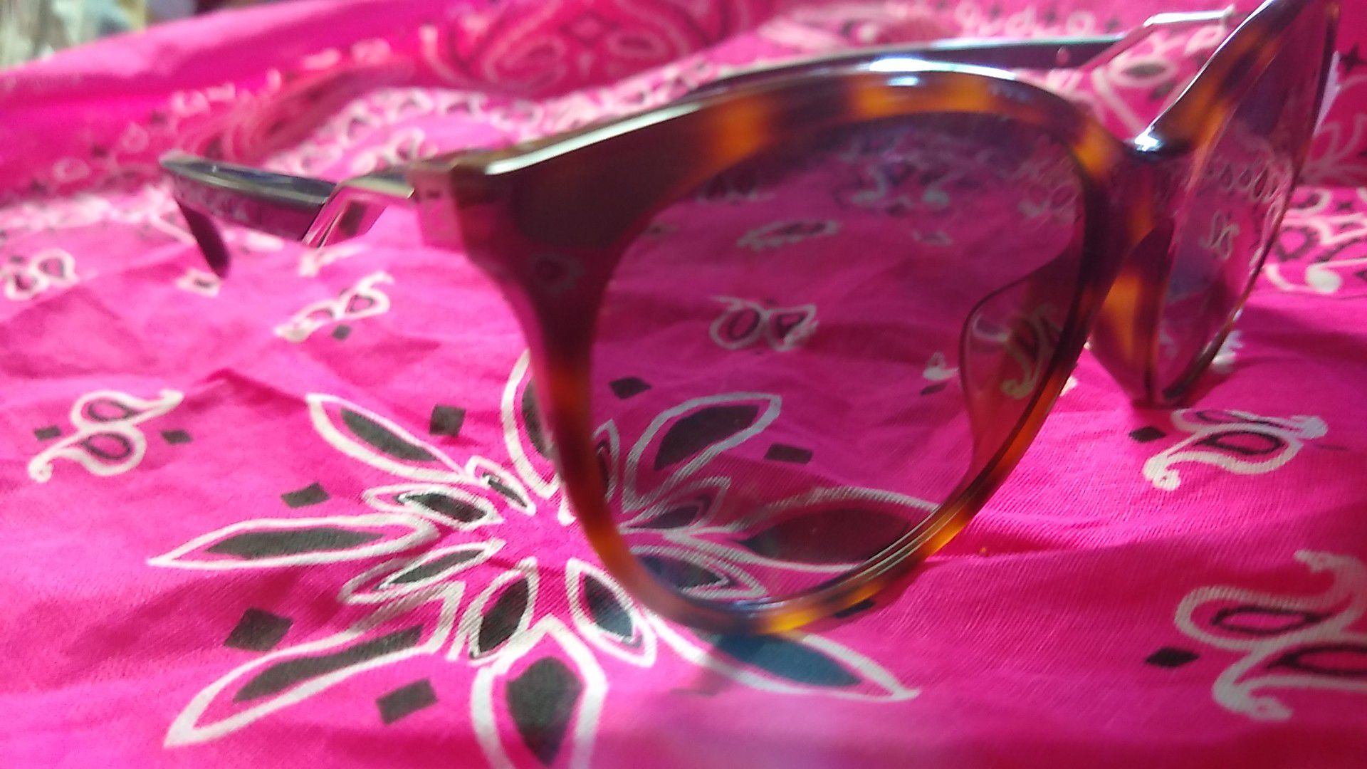FENDI Cat Eye Style Woman's/Men's/Unisex Sunglasses AUTHENTIC