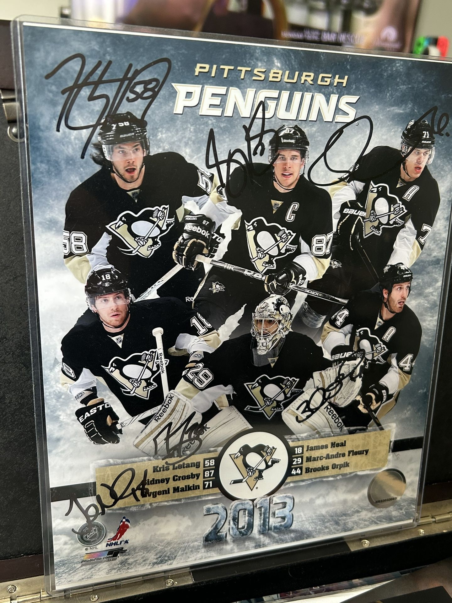 Multi Signed Penguins Photo